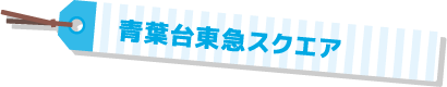 青葉台東急スクエア