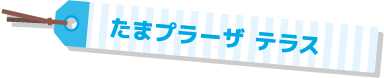 たまプラーザ テラス